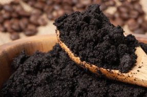 Borra de café para adubar suas plantas: saiba quais os cuidados necessários