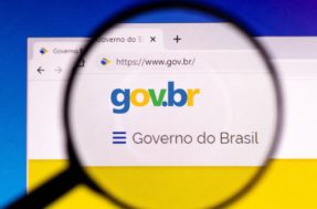 Serviços úteis do portal gov.br para os brasileiros