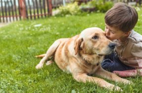 Ter cachorros em casa ajuda no desenvolvimento das crianças, diz estudo