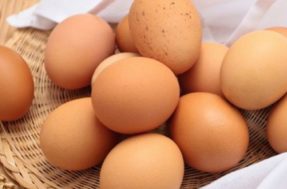 Em até quantos dias o ovo pode ser consumido?