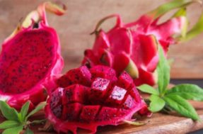 Ama pitaya, mas acha caro? Veja cultivar a fruta em casa e poupar no mercado