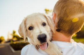 “Pais de pet”: deputados propõem licença em caso de morte de animais de estimação