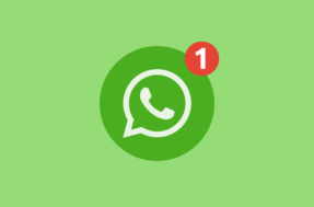 WhatsApp lança atualização para facilitar resolução de problemas no app