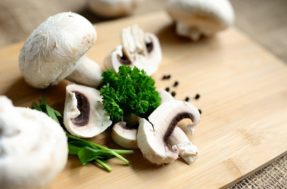 Cogumelos comestíveis, alucinógenos ou tóxicos: como saber qual comer?