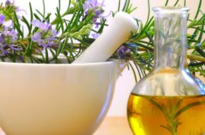 3 benefícios do óleo de alecrim e como preparar uma receita caseira