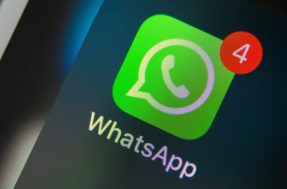 Novidade a caminho: WhatsApp prepara novo recurso ainda para 2022