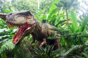 4 parentes dos dinossauros que ainda estão vivos na Terra