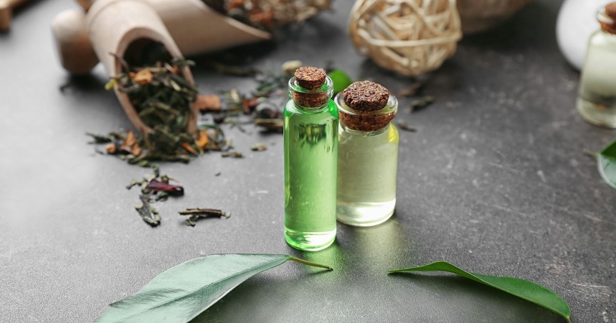 Aprenda a usar correctamente el aceite de árbol de té para la salud