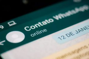 Nova função do WhatsApp garantirá mais privacidade aos usuários