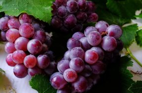 Não erre a simpatia da uva para o Ano Novo: ela atrai dinheiro e prosperidade