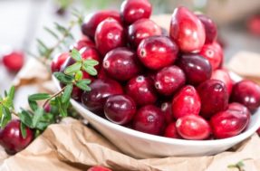 Emagrece, diminui colesterol e previne o câncer: cranberry é fruta poderosa