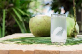Benefícios da água de coco: a opção em caixinha é saudável?