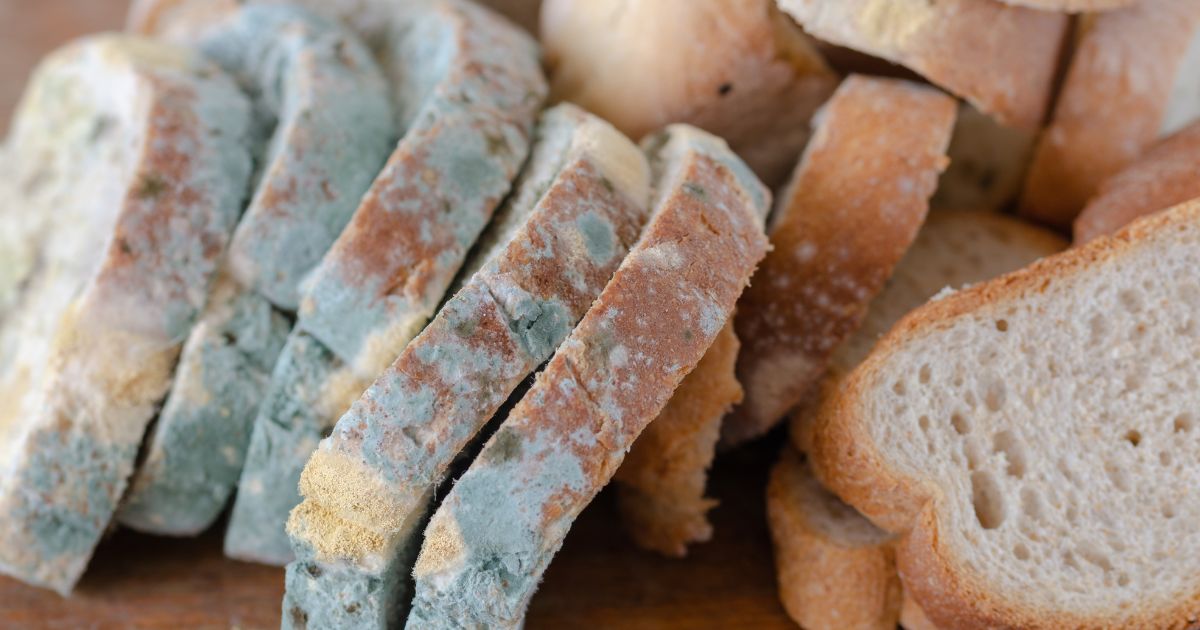 Entenda se existem riscos ao consumir a parte branca do pão mofado