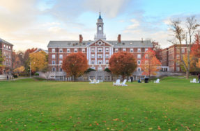 Inscrições: Harvard oferece bolsas de até R$ 390 mil para pós-graduação