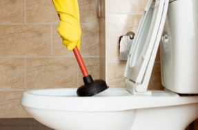 Confira aqui o segredo de muitas donas de casa: jogar detergente no vaso sanitário