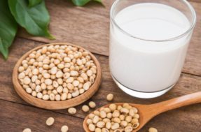 Descubra os surpreendentes benefícios do leite de soja à saúde