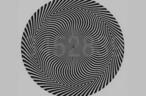 Quantos números você consegue ver além dessa ilusão de ótica?