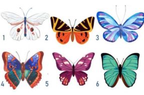 Escolha uma borboleta e tenha seus segredos ocultos revelados. Você se atreverá?