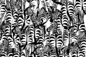 Teste de visão: você consegue enxergar o texugo no meio das zebras?