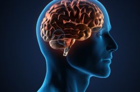 Como melhorar a saúde do cérebro; veja o que a ciência recomenda