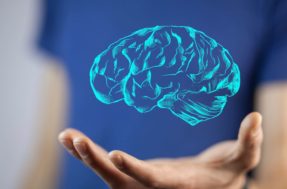 Como fortalecer a memória: veja as dicas de um neurocientista