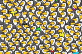 Resolva o problema: encontre o pinguim escondido na imagem em 50 segundos