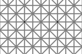 Teste sua visão! Encontre todos os 12 pontos pretos na imagem