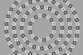 Você consegue contar quantos círculos existem sem se perder?