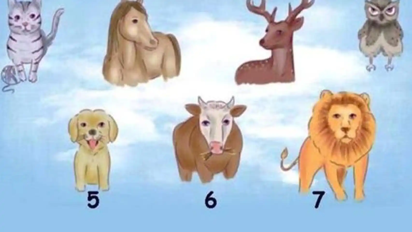 Teste: quantos animais fofos você conhece?