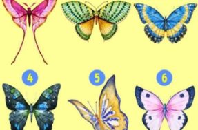 Teste de personalidade: escolha uma borboleta e se surpreenda