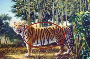 Onde está “O Tigre Escondido” no desafio visual? Você não vai encontrar!