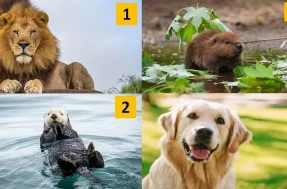 Qual animal você escolhe? Teste de personalidade revela quem você é