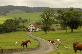 ITR: começa prazo para declarar imposto sobre propriedade rural