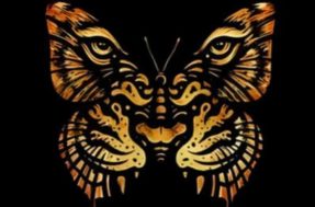 Teste de personalidade revela se você é borboleta ou tigre; entenda