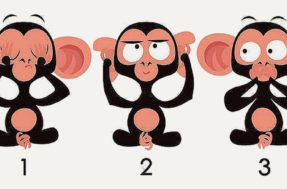 Teste dos macacos ajudará você a entender melhor sua personalidade
