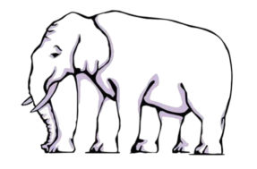Desafio de ilusão de ótica para expert! Quais são as patas do elefante?