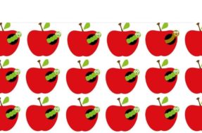 Parece fácil mas não é: qual é a única maçã diferente no desafio visual?