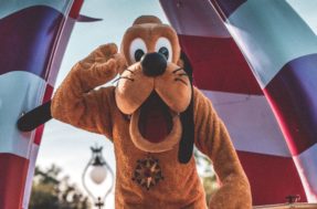 Já imaginou os animais da Disney no mundo real? Como ficaram Mickey, Pluto e outros