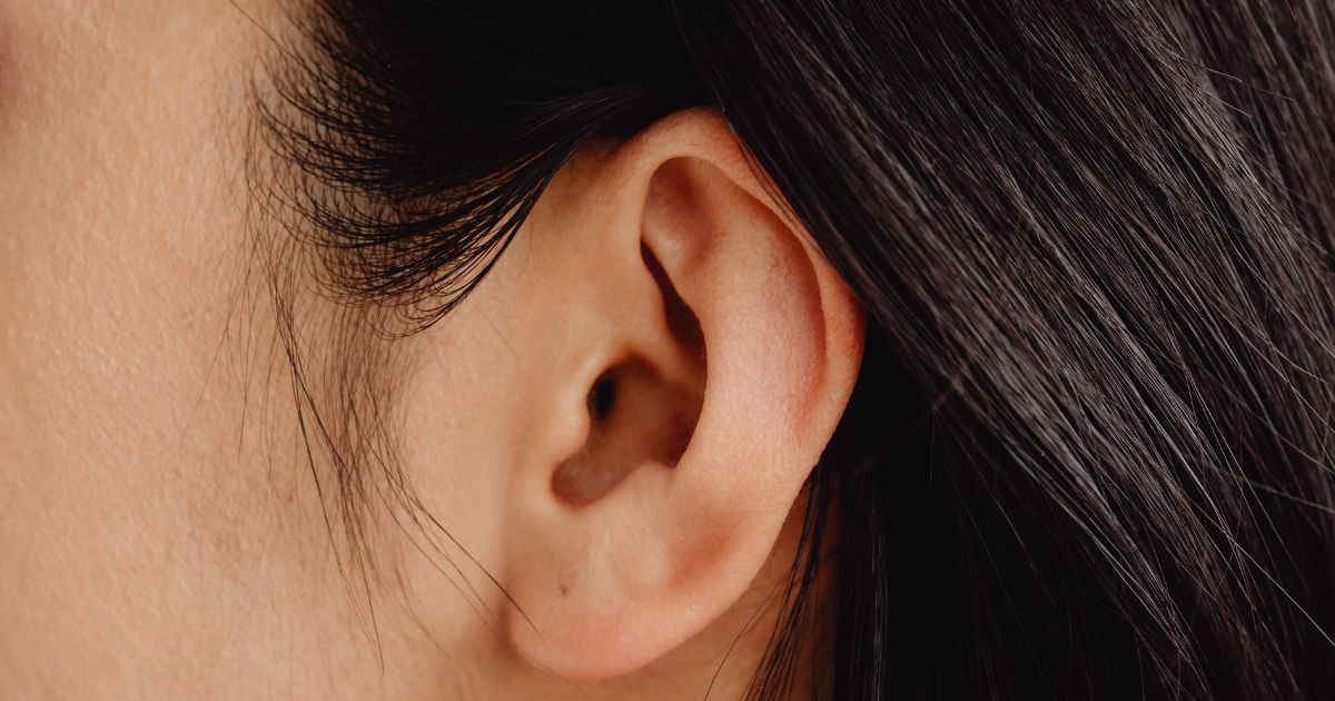 La forma de tu oreja muestra cómo se ve tu personaje.