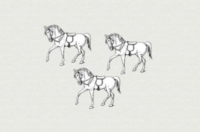 Qual é o cavalo que está diferente do resto? Faça o teste mental