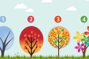 Escolha uma das árvores neste teste visual e revele qual emoção predomina em você