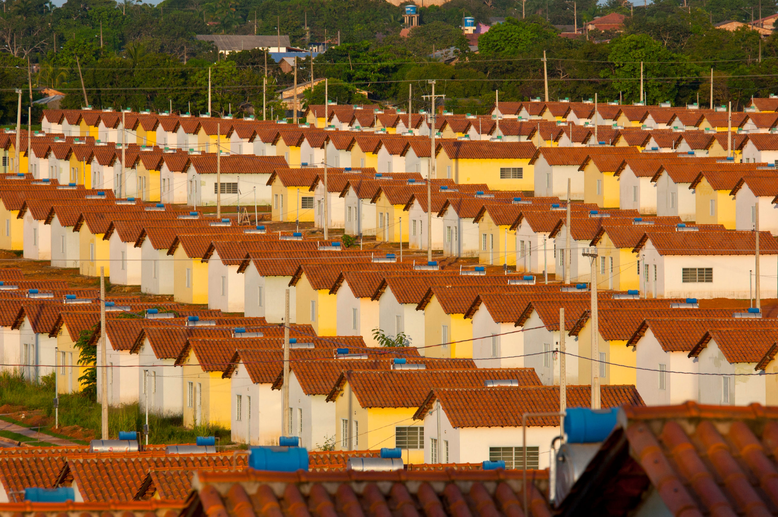 Foto: Leonardo Dantas Teixeira/Shutterstock