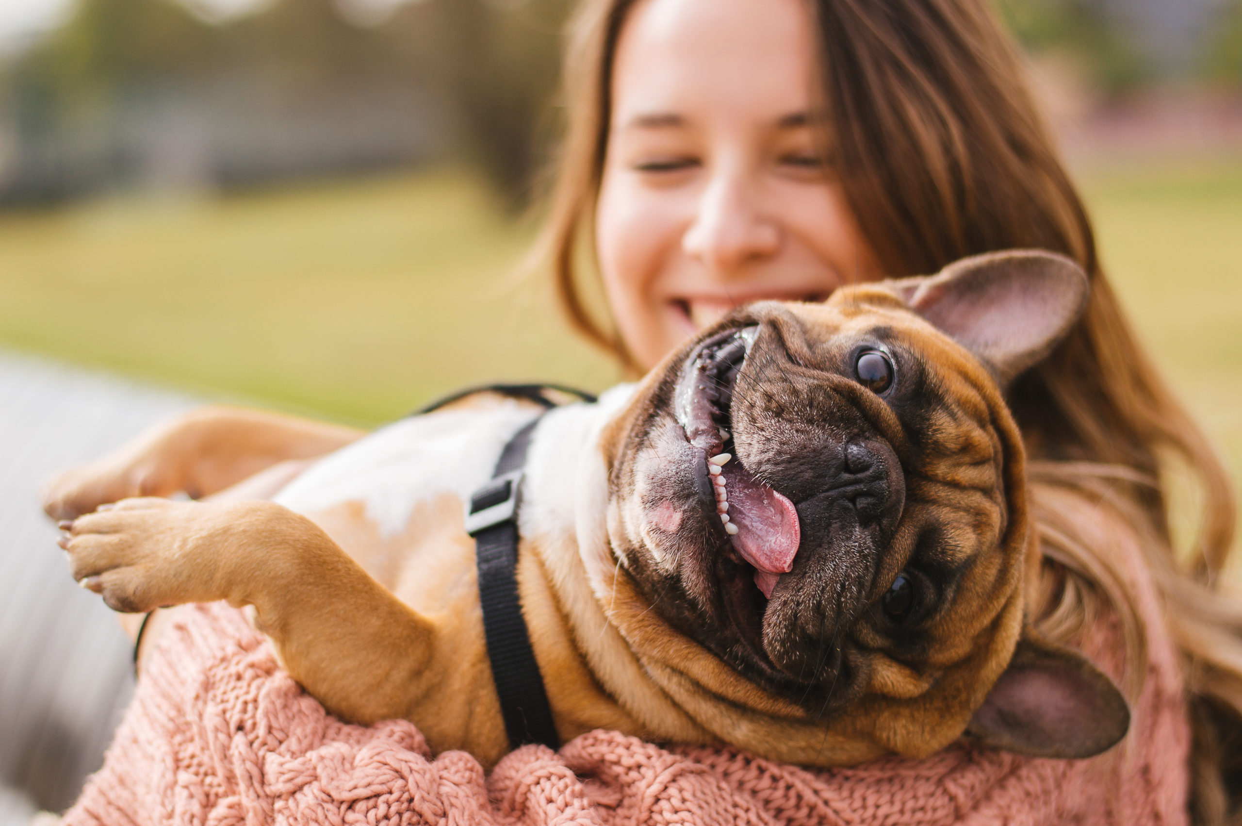 According to science, these are the signs that your dog really loves you