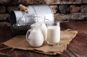 Exportador de leite: saiba quem é o maior produtor de laticínios do mundo