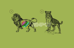 Leão ou Tigre? Escolha um animal e descubra se você é teimoso
