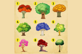 Teste viral: escolha uma das árvores e ela o ajudará a melhorar como pessoa
