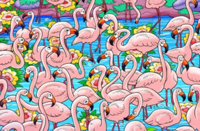 Encontre a menina escondida no meio dos flamingos neste desafio