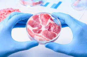 EUA aprovam carne feita em laboratório: você teria coragem de comer?