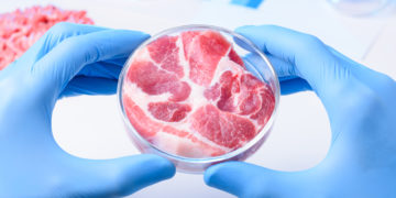 Vai encarar? EUA autoriza produção e venda de carne de laboratório