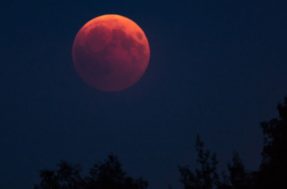 Como energia do eclipse lunar transformará cada um dos signos